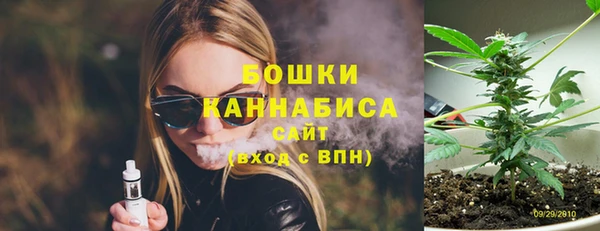 Альфа ПВП Богородск
