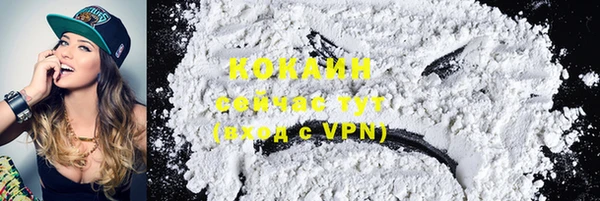 трава Сатка