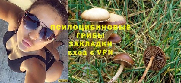Альфа ПВП Богородск